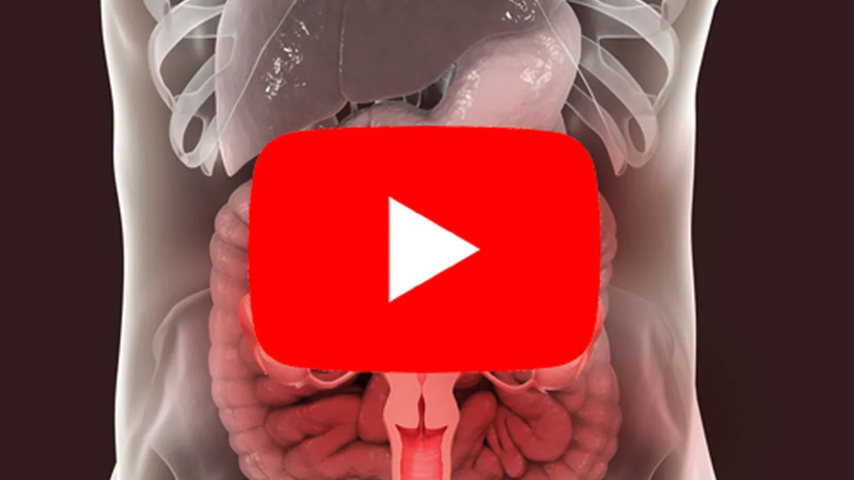 Endometriose Intestinal: importância do diagnóstico precoce